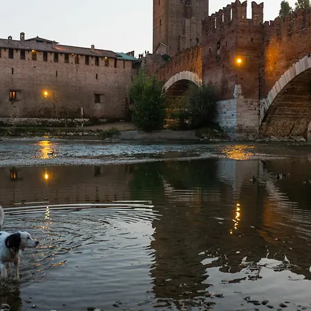 فندق مبيت وإفطار Residenza Roccaforte Scaligera فيرونا