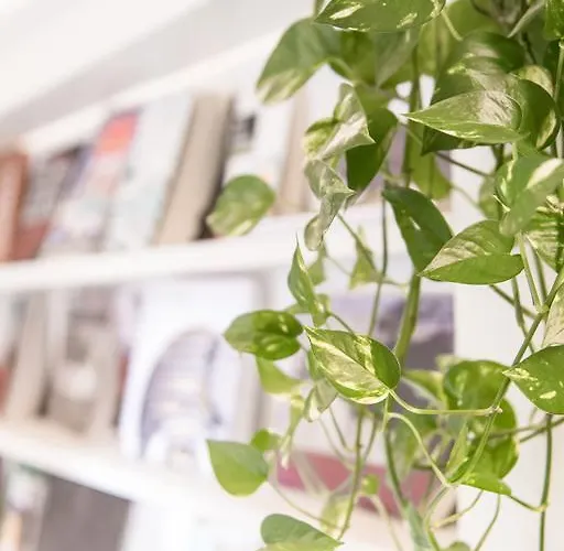 Residenza Roccaforte Scaligera 4* Verona