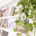 Residenza Roccaforte Scaligera 4* Βερόνα