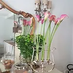 Bed and Breakfast Residenza Roccaforte Scaligera 4*